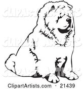 Chow Chow Dog Sitting and Facing to the Right, over a White Background