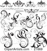 Collection of Black and White Flourishes, Flowers and Vines, over White