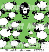 Crowd of Regular White Sheep Staring in Awe at a Different Black Sheep in a Green Pasture