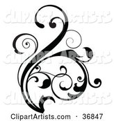 Curling Floral Design Element Scroll in Black