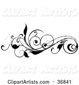 Curly Black Silhouetted Leafy Scroll Design Element