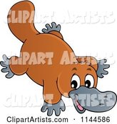 Cute Australian Platypus