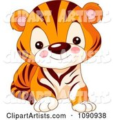 Cute Baby Zoo Tiger Cub