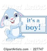 Cute Blue Rabbit Holding an Its a Boy Sign