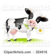 Cute Cow with a Daisy Flower in Its Mouth