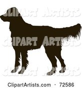 Dark Brown Golden Retriever Dog Silhouette