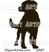 Dark Brown Labrador Dog Silhouette