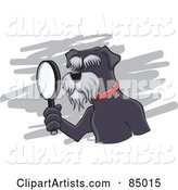 Detective Schnauzer Dog Using a Magnifying Glass