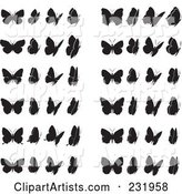 Digital Collage of Black and White Butterflies - 1