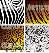 Digital Collage of Four Zebra, Tiger, Leopard and Cheetah Print Backgrounds