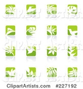 Digital Collage of Green and White Nature Logo Icons