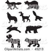 Digital Collage of Profiled Black Forest Animal Silhouettes