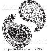 Digital Collage of Two Black and White Heart Paisley Designs