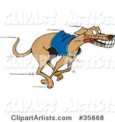 Energetic and Fast Greyhound Dog in a Shirt, Running with His Tongue Hanging out During a Race