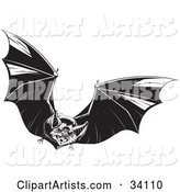 Evil Vampire Bat in Flight, Flapping Its Wings and Flying Forward