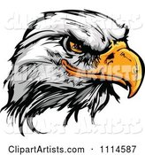 Fierce Bald Eagle Mascot Head