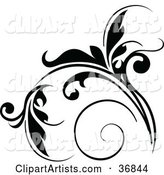 Floral Design Element in Black, with Tendrils