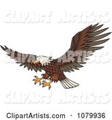 Flying Bald Eagle with Extended Talons