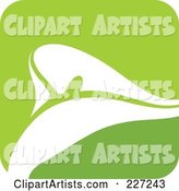 Green and White Calla Lily Logo Icon