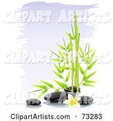 Green Bamboo with Black Spa Stones and a Frangipani Flower over Purple Brush Strokes