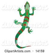 Green Gecko Lizard with Red Stripes and Patterns over a White Background