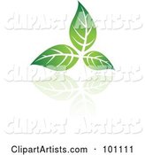 Green Leaf Logo Icon - 1