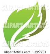 Green Leaf Logo Icon - 9