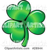 Green Three Leaved Shamrock Clover Leaf with Light Reflecting off of the Heart Shaped Petals