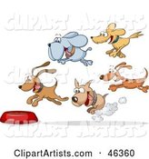 Group of Hungry Dogs Racing and Flying Towards a Food Bowl