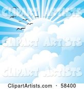 Gulls Flying Above Clouds Under Sun Rays in a Blue Sky