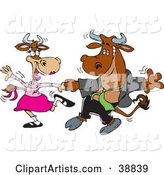 Handsome Young Bull Dancing with a Lady Cow on a Dance Floor
