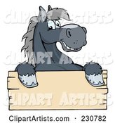Happy Gray Horse Looking over a Blank Wood Sign