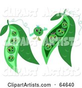 Happy Green Peas