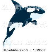 Happy Orca Killer Whale