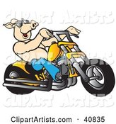 Happy Shirtless Pig in Shades, Riding a Yellow Chopper