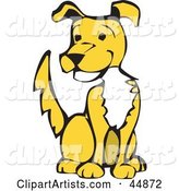 Happy Yellow Dog with a White Chest, Sitting and Wagging His Tail