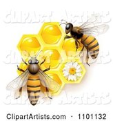Honey Bees over Honeycombs with a Daisy