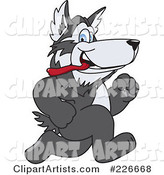 Husky School Mascot Running