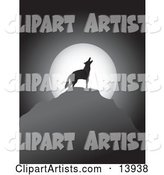 Lonely Coyote Howling in Front of a Full Moon at Night