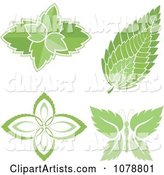 Mint Leaf Designs