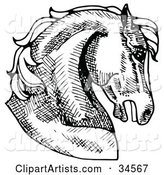 Muscular Horse's Head in Profile, Facing Right