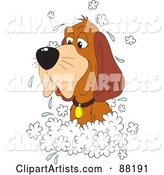 Old Hound Dog in a Sudsy Bath