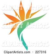 Orange Flower Logo Icon - 11