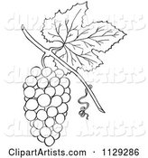 Outlined Bunch of Grapes with a Leaf