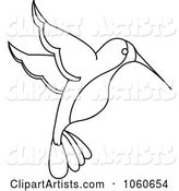 Outlined Hummingbird
