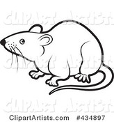 Outlined Rat