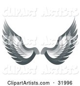 Pair of Gray Bird or Angel Wings, Symbolizing Faith or Freedom, on a White Background