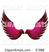 Pair of Pink Bird or Angel Wings, Symbolizing Faith or Freedom, on a White Background