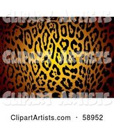 Patterned Jaguar Skin Print Background