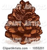 Pine Cone